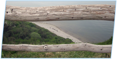 Abbildung: Aussicht auf die See