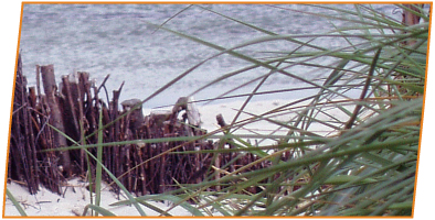 Bild: See-Strand-Uferbefestigung